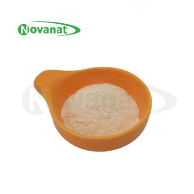 Bifidobacterium bifidum BB47 / 400billion CFU/g / Vegan / Allergen Free / Gluten Free / Dairy Free