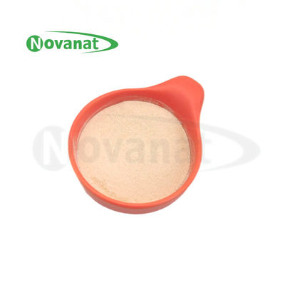 Bifidobacterium animalis subsp. lactis BI516 Postbiotics Powder Tyndallized / Vegan / Allergen Free / Gluten Free / Dairy Free