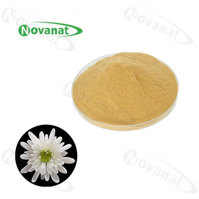Pure Hangzhou White Chrysanthemum Extract Powder Water Soluble