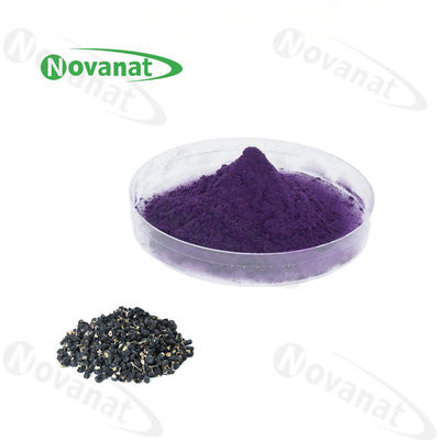 Black Goji Berry Extract Powder 1.5% OPC (Proanthocyanidins) / Anti-Oxidant Ingredient