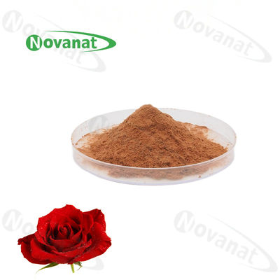 Antifatigue Rose Extract Powder 4/1 20% And 25% Polyphenols/ Water Soluble /Food Beverage