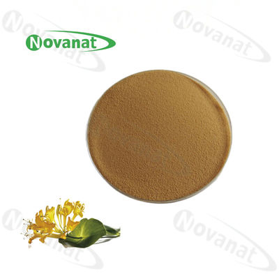 Honey Suckle Flower Extract 2%-4% Chlorogenic Acid/Lonicera Japonica Thunb Extract/Clean Label / Good Water Soluble