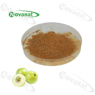 Phyllanthi Fructus Extract 25% Polyphenol / Fine Yellow Powder /Clean Label