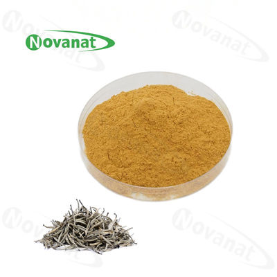 White Instant Tea Extract Powder 40% Polyphenols / Weight Loss / Food Beverage