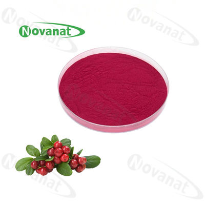 Cranberry Concentrated Fruit Vegetable Powder / Pure flavor / Water Soluble / Clean Label