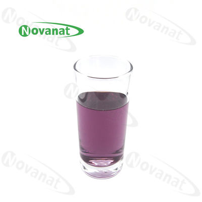 Blueberry Powder / Blueberry Concentrated Fruit Vegetable Powder Pure Flavor / Water Soluble / Clean Label