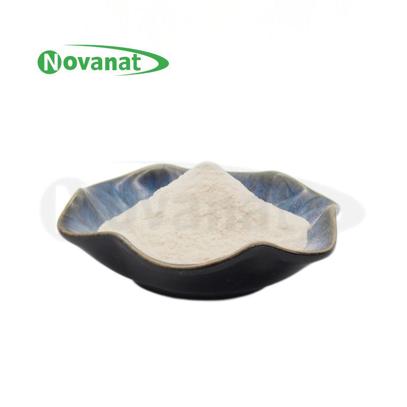 Ligilactobacillus Salivarius LS86 / Vegan / Allergen Free / Gluten Free / Dairy Free 