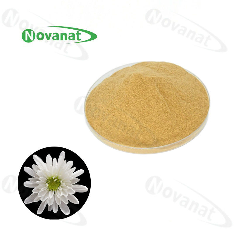 Pure Hangzhou White Chrysanthemum Extract Powder Water Soluble