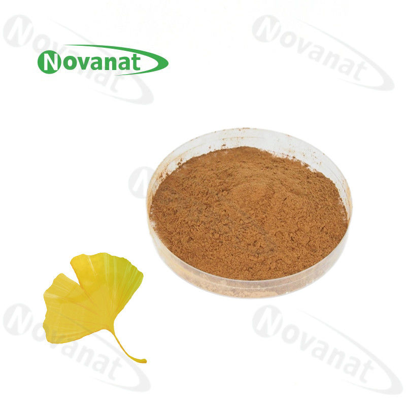 100% Nature Gingko Biloba Extract Powder / USP / E.P / CP15 / Dietary Supplements Ingredients