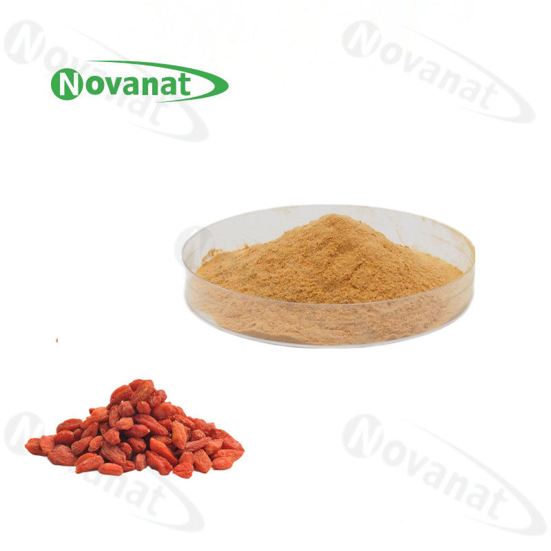 Water Soluble Goji Berry Extract Powder 20% - 50% Polysaccharides / Clean Label