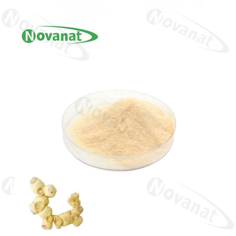Polygonati Rhizoma Extract Herbal Extract Powder 15% Polysaccharides 5% Saponin