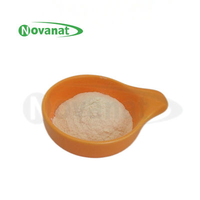 پدیوکوکوس اسیدی‌لاکتیکی PA10 500 میلیارد CFU/گرم پودر پروبیوتیک وگان/بدون آلرژن/بدون گلوتن/بدون لبنیات