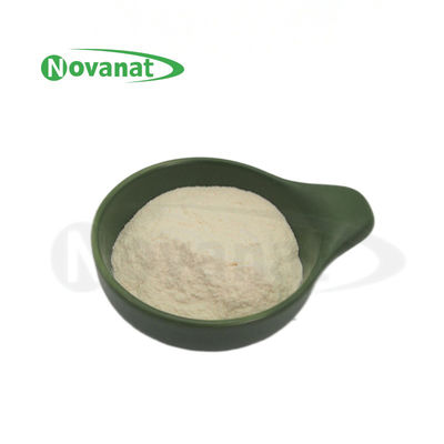 Lacticaseibacillus rhamnosus LR22/ گیاهخوار/ بدون آلرژن/ گلوتن/ لبنیات/ سلامت گوارشی