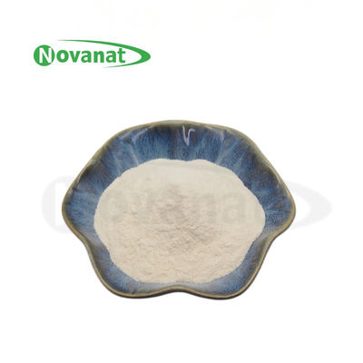 Bifidobacterium Longum Subsp. Infantis BI211/100 میلیارد CFU/g / گیاهی / بدون گلوتن