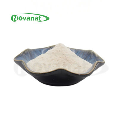 Bifidobacterium Longum Subsp Longum BL88- فقط / گیاهخوار / بدون آلرژن / گلوتن / لبنیات