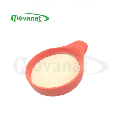 Tyndallized / Vegan Ligilactobacillus salivarius LS86 بدون آلرژن / بدون گلوتن / بدون لبنیات