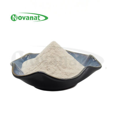 Lactobacillus amylovorus Lam600 50 میلیارد CFU/g/Vegan/Free (آلرژن/گلوتن/لبنیات)